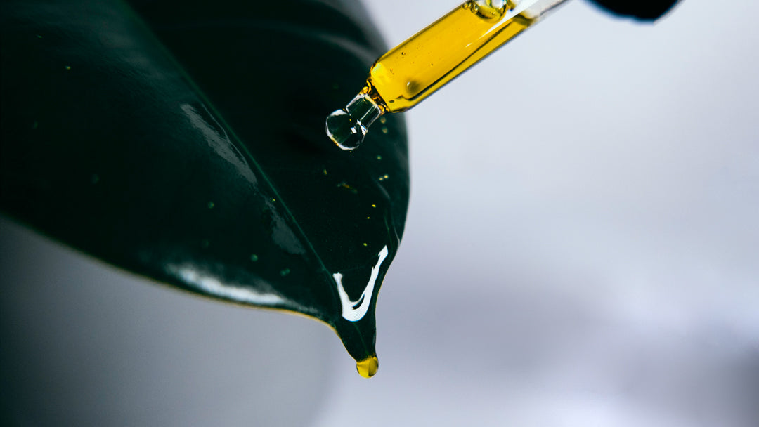 10% CBD Vollspektrum Aromaöl